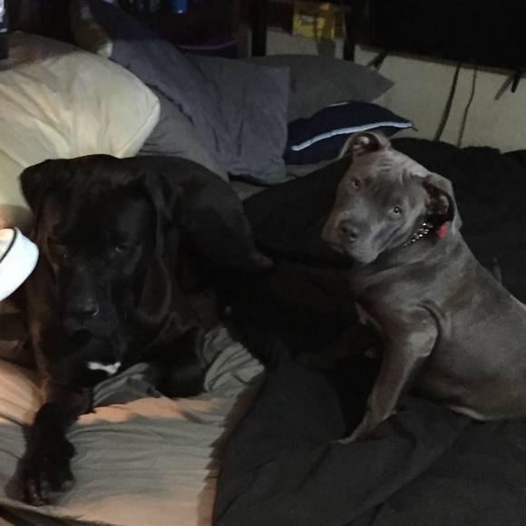 Meet your Posher, Keith - Picture 1 of 1